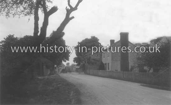 The Village, Pleshey, Essex. c.1914